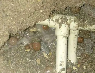 沈北新卫生间测漏