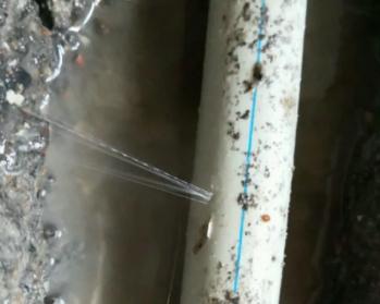 沈北新卫生间测漏水多少钱