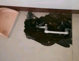 沈北新卫生间测漏水多少钱